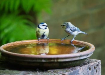 Warum Dialog so wichtig ist Warum Dialog so wichtig ist