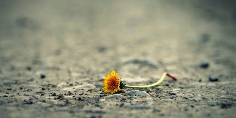 Trauerbesuch bei einer muslimischen Familie