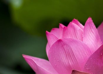 Ramadanfreundschaften