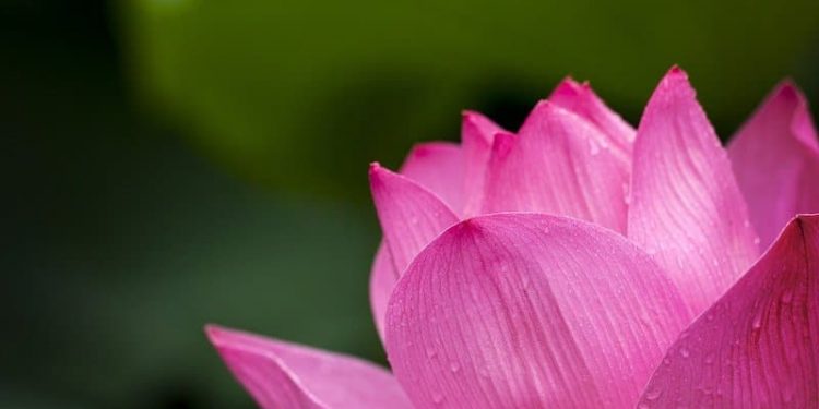 Ramadanfreundschaften