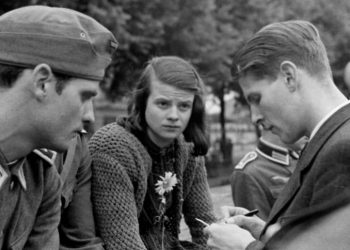 Die weiße Rose – nur mit der Guillotine zu bekämpfen