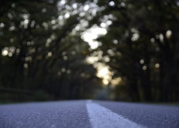 Der Platz des Dschihad in der islamischen Terminologie