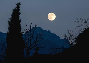 Der islamische Mondkalender