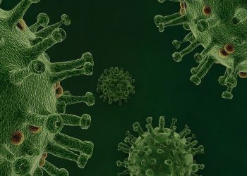 Die historischen Ratschläge des Propheten gegen die Pandemie Die historischen Ratschläge des Propheten gegen die Pandemie