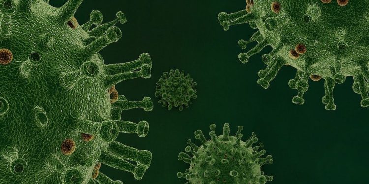 Die historischen Ratschläge des Propheten gegen die Pandemie