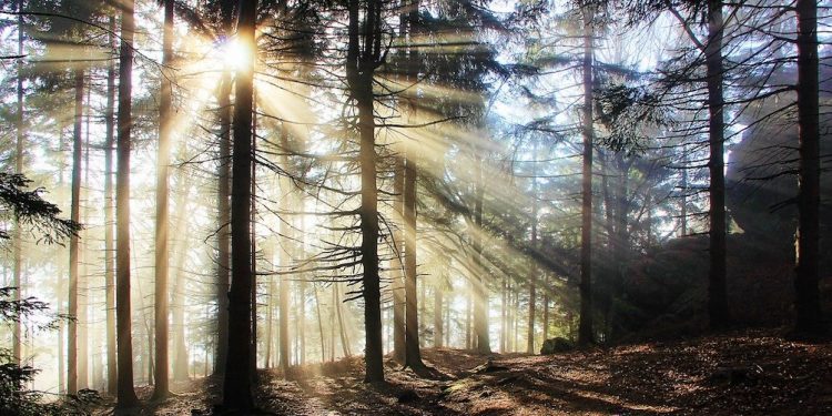 Der Mensch im Lichtspektrum