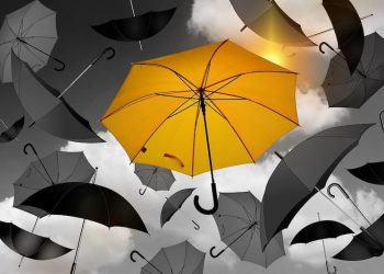 Muslime zwischen Autorität und Mündigkeit