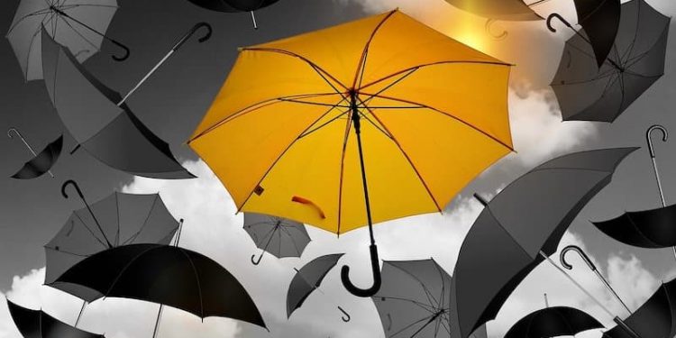 Muslime zwischen Autorität und Mündigkeit