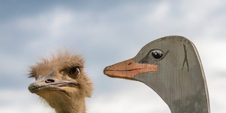 Der Analogieschluss (Qiyâs)