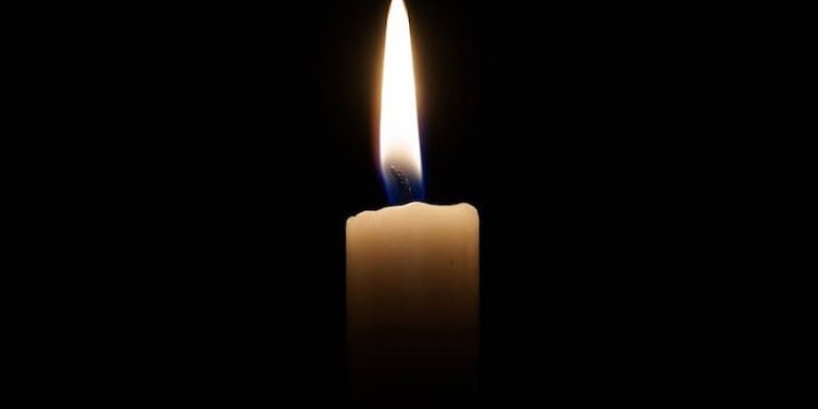 Der Falter und die Kerze